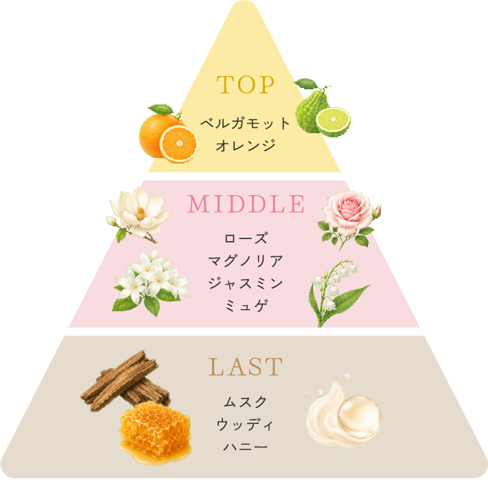 香りのピラミッド TOP:ベルガモット・オレンジ MIDDLE:ローズ・マグノリア・ジャスミン・ミュゲ LAST:ムスク・ウッディ・ハニー