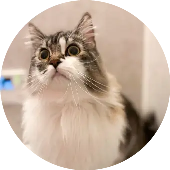 雫ちゃん