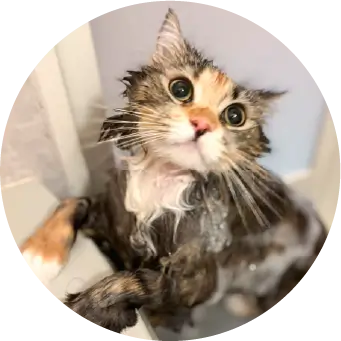 霞ちゃん